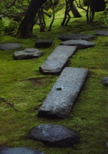 三楽山茶会−飛び石