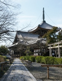 本法寺本堂と多宝塔