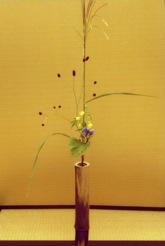 後座の花