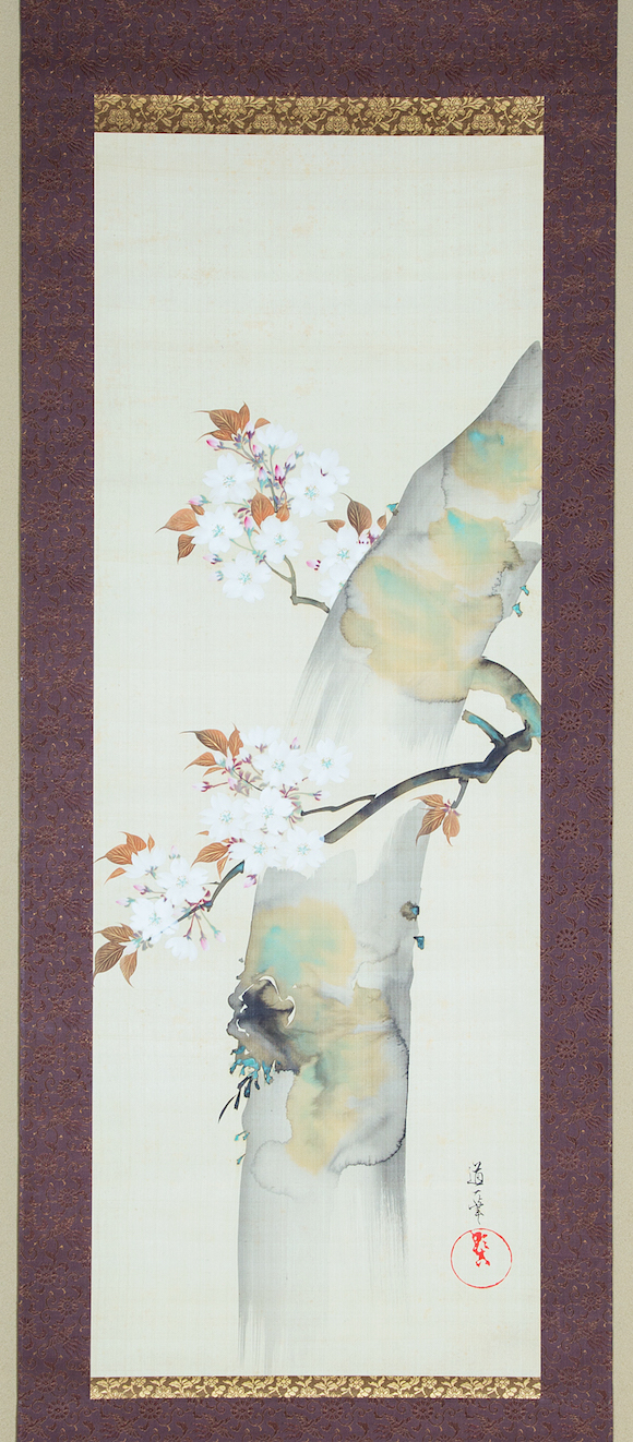 酒井道一筆　桜樹